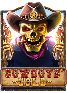 รีวิว Wild West Gold pantip เกมสล็อตสุดสนุก